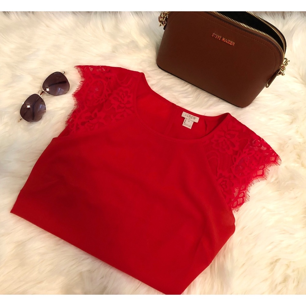 Lace short-sleeved Bell Sleeve Top